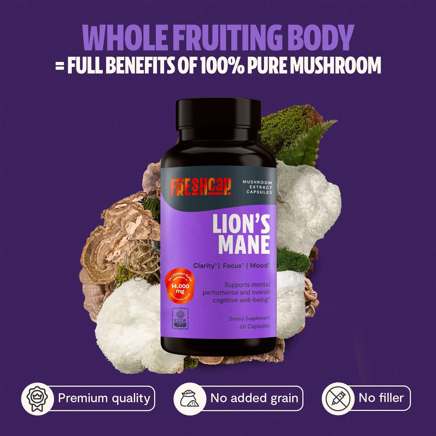 Lion's Mane Mushroom Extract - 60 Capsules (30 Servings)